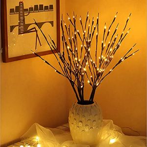 XiXiRan Lumineuses Branches avec 20 LED, 5 Lumineux &Eacute;clairage Branche Brindille, Branche Vase Remplisseur Artificielle Saule Lumi&egrave;res Pour No&euml;l Centre De Table De Vacances Romantique Table D&eacute;coration (RANONE, neuf)