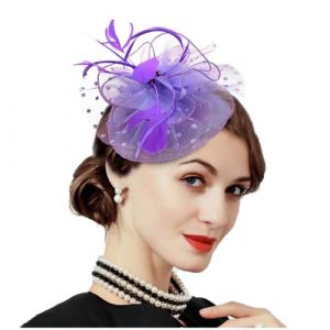 JKQBUX Bibi ann&eacute;es 20 Gatsby Charleston Accessoires de f&ecirc;te Art D&eacute;co Accessoire de coiffe, chapeau bibi avec pince &agrave; cheveux pour femme, chapeau melon fleur plumes fibre (SHIMENG, neuf)