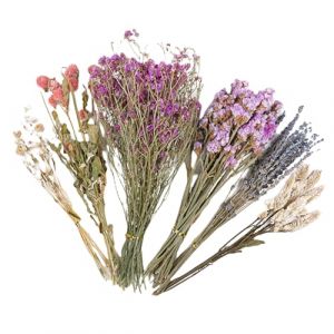 Literie pour hamster &agrave; fleurs s&eacute;ch&eacute;es &ndash; Literie pour hamster, fleurs naturelles pour friandises, fleurs naturelles, sprays d&eacute;coratifs pour hamsters, ajout d'accessoires amusants pour hamsters (yuxao, neuf)