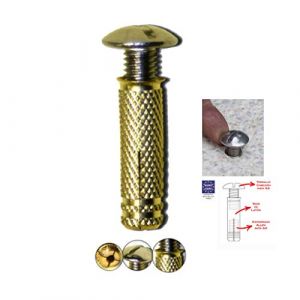 BricoLoco.com Ancrage de Piscine en Laiton BricoLoco, vis INOX A2 | Syst&egrave;me d'ancrage pour piscines tubulaires avec Filetage Complet. (50) (BricoLoco, neuf)