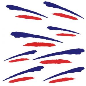 SGERUFZ 1 Feuille Autocollant Drapeau français, Sport français, Autocollant Sport et Course, Protection Pluie et Soleil, pour Voitures, Motos, Scooters, vélos et Casques de Moto français(France) (BeanyBeng, neuf)