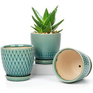 10cm Ensemble de 3 Pots de Plantes en Céramique Petits Pots de Fleurs Ronds avec Trou de Drainage et Soucoupe pour Cactus Succulent, pour Intérieur Extérieur Jardin Maison Rebord de Fenêtre (Oairse-eu, neuf)