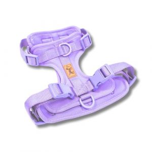 Harnais anti-traction pour chien – Réglable et confortable – Petites et moyennes races – Promenades sûres et sans traction – La Casa de Turrón (Lavender, S) (La Casa de Turrón, neuf)