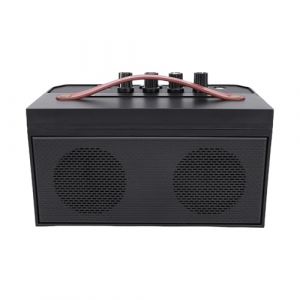 Fockety Haut-Parleur de Guitare 30 W, Ampli de Guitare &eacute;lectro-Acoustique avec Distorsion de R&eacute;verb&eacute;ration, Son Clair BT 5.0, Haut-Parleur Portable pour Entra&icirc;nement Quotidien et (Feirort, neuf)