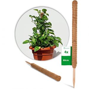 Novatool Lot de 4 bâtons en coco de 80 cm de diamètre - 45 mm - Professionnel - Extensible - Fibre de coco naturelle - Support pour plantes d'intérieur (AMP GmbH, neuf)
