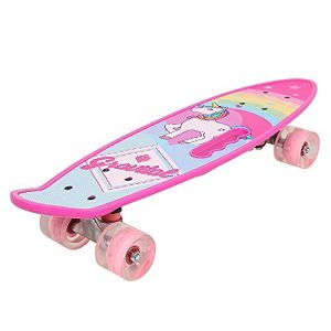 Skateboard Mini pour Enfant Fille Garçon Ado Adulte, Complet 59 * 15 * 11cm avec Roues PU et Outil Intégré (Hechheu, neuf)