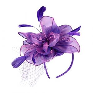 LALAFINA Bibi pour cheveux - Bibi en gaze - Bibi - Pour fête de thé, banquet, mariage, fête des années 1920 - Violet (Pyramid tip, neuf)