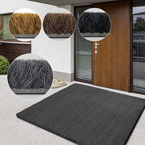 casa pura Paillasson d'entrée en Fibre de Coco Premium,Tapis de Porte antidérapant,Tapis d'entrée Usage intensif,Tapis pour entrée Absorbant,Dense Velours Résistant (23 mm-40x60 cm Gris) (Velvet Trading, neuf)