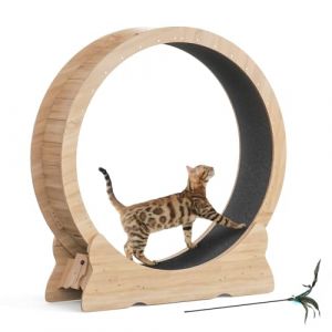Mondeer Roue pour Chat d'int&eacute;rieur avec Piste Moquette, Tapis Roulant XL de 110 cm avec Tapis Amovible et Jouet pour Chat, pour Course &agrave; Pied, Marche (Bois Naturel) (Common Smile, neuf)