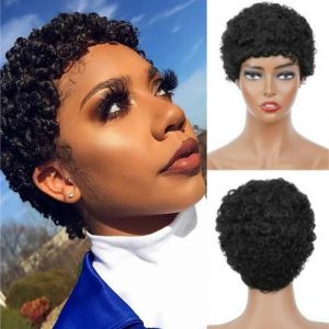 Perruque courte bouclée cheveux humains coupe lutin, perruque courte bouclée 6 pouces, perruque synthétique résistante à la chaleur, noir naturel, for les femmes noires quotidienne en utiliser. (TYSLYDZSW, neuf)