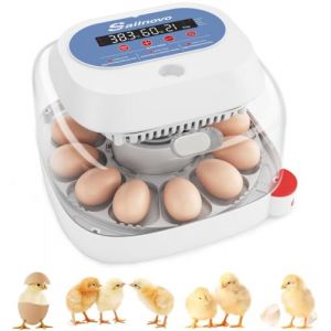 Sailnovo Couveuse Oeuf Automatique 12 Oeufs, Couveuses Oeuf Pour ufs de Volailles avec 4 Modes vue à 360°, Incubateur Oeuf Retournement Automatique des Oeufs et Contrôle de la Température (Bleu) (Sailnovo EU, neuf)