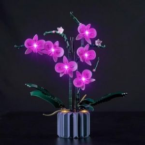 Kyglaring Kit d'&eacute;clairage LED pour ic&ocirc;nes Orchid&eacute;e artificielle avec fleurs, l'ensemble d'&eacute;clairage con&ccedil;u pour 10311 Fleur de bouquet ; cadeaux de la collection botanique (RC) (kyglaring, neuf)