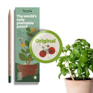 Sprout Lot de 8 crayons à papier | en bois naturel bio non traité et mines sans plomb | crayons graphite pour plantes (SproutWorld, neuf)