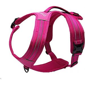 TRUE LOVE R&eacute;fl&eacute;chissant Harnais De Chien R&eacute;glable D&eacute;courager Tirer Pet Gilet Durable en Nylon De Voiture TLH5551 (Fuchsia, L) (Truelove Pet Garment and Shoes Co.Ltd., neuf)