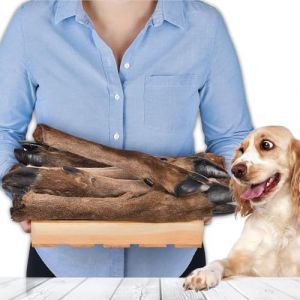 Lot de 5 pattes de cerf avec fourrure pour chiens | Articles &agrave; m&acirc;cher sauvages s&eacute;ch&eacute;s | 100 % naturel | Avec fourrure | S&eacute;ch&eacute; &agrave; l'air libre | Sans c&eacute;r&eacute;ales | Long plaisir &agrave; m&acirc;cher pour petits et (LovelyDog24, neuf)