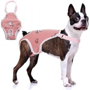 Lelepet Couches pour Chien Femelle, Culotte hygiénique Lavable avec Bretelles réglables, Pantalon réutilisable pour Les règles du Chien, Combinaison pour Chiens mâles en Chaleur, Couches pour Chiot (LeLepet, neuf)