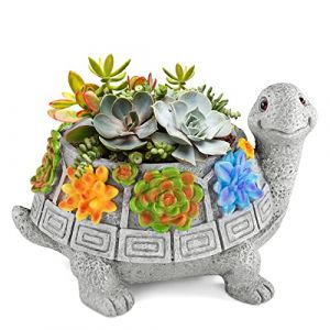 Grovind Pots de Fleurs, Pot de Plantes succulentes Turtle pour Plantes d'intérieur avec Trou de Drainage, Pots de Jardin pour Cactus Décoration de Bureau à Domicile Cadeaux pour Femmes (Yuan Hang Trade EU, neuf)