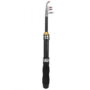 Tomotato Canne à Pêche de Voyage Mini Canne à Pêche en Acier Inoxydable de Poche Portable pour Appât Carpe Brochet Pêche en Mer(1.5m) (Bvllting, neuf)
