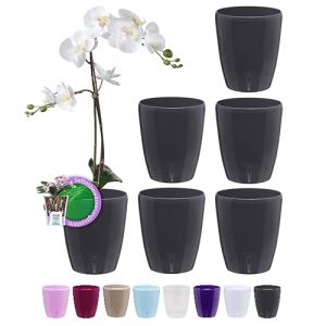 Santino ORCHIDEA Lot de 6 Pots à Orchidée avec Système de Mèche et Indicateur de Niveau d'eau (Diamètre: 15 cm, 2 L, Anthracite) (Gartenlux, neuf)