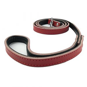 Newtensina Laisses pour Animaux de Compagnie Laisse de Chien en Laisse pour Chiots en Cuir pour Chien (Newtensina, neuf)