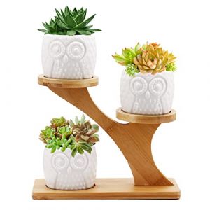 Gearific Pots de fleurs en céramique avec plateau en bambou, petits pots de fleurs en forme de cactus pour la maison, le bureau, le rebord de fenêtre, décoration (chouette) (ZhuoYi-EU, neuf)