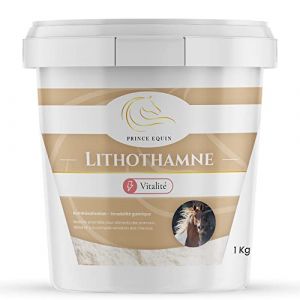 Prince Equin - LITHOTHAMNE - Complément nutritionnel Cheval - Seau 1 kg - Calcium Naturel - Aide à réguler l'acidité gastrique - Reminéralisation - Marque Française (Seau 1 kg) (Prince Equin, neuf)