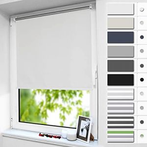 smartdemo Store Occultant sans Perçage, Store Enrouleur Opaque Thermique Isolant, Protection de Vie Privée & Protection Soleil, pour Fenêtre ou Porte, 90l x 100L cm (Largeur du Tissu 86cm), Blanc (TenArea, neuf)