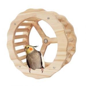 Jouet de Roue d'oiseau, Roue d'exercice d'oiseau | Jouet Intelligent pour Oiseaux - Roues d'exercice en Bois pour perroquets, perruches, Conures, calopsittes, perruches, Exercice de Bec à (spolert, neuf)