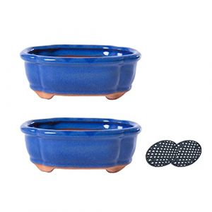Jinfa Lot de 2 Pots &agrave; Bonsa&iuml; en C&eacute;ramique &Eacute;maill&eacute;e Bleu avec Trous de Drainage, Grilles Filtrantes & Plateaux en Bambou| Design Japonais Traditionnel | D&eacute;coratifs pour Plantes Int&eacute;rieures & Cadeau (HDhomeart, neuf)
