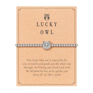 Wryzorix Cadeau chouette, bracelet chouette, en acier inoxydable, pour femme, d&eacute;coration d'anniversaire, bracelet en pierre porte-bonheur, d&eacute;coration de bijoux, cadeau chouette, cadeau pour femme (jvjvwangluo, neuf)