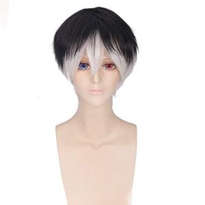 Anime Tokyo Ghoul Re Sasaki Haise perruque courte Cosplay Costume Ken Kaneki résistant à la chaleur cheveux synthétiques hommes femmes Cosplay perruques (good stuff A, neuf)