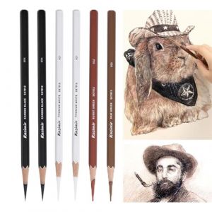 Lot de 6 crayons de couleur pour dessin Crayons fusains noirs et blancs Crayon à Dessin Au Fusain pour croquis, ombrage, mélange, portrait Idéal pour les débutants et les artistes (Trusted- Direct, neuf)