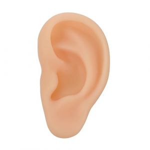 Hemobllo 1 pièce Modèle Oreille Silicone Réaliste pour Enseignement Maquette Anatomique Durable pour Pratique Perçage Démonstration pour Étudiants (pattobold, neuf)