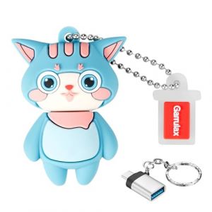 GARRULAX Cl&eacute; USB 3.0 - Cl&eacute; de stockage de donn&eacute;es en silicone imperm&eacute;able haute vitesse USB 3.0 - Cl&eacute; de m&eacute;moire avec adaptateur OTG Type C (Chat Cyan, 128 Go) (Garrulax, neuf)
