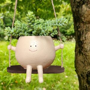Norhogo Jardini&egrave;re pour plantes succulentes, Smiley Pots De Fleurs &Agrave; Suspendre, pot de fleurs suspendu avec visage balan&ccedil;ant, Pot De Fleurs Balan&ccedil;oire, jardini&egrave;res en r&eacute;sine pour d&eacute;coration int&eacute;rieure (Norhogo Direct, neuf)