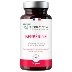 BERBERINE | Forme Phytosomale Brevetée BERBEVIS® | Mieux Assimilée que les Extraits Classiques à 97% | Gestion du Poids et du SOPK | 60 Gélules | Sans Pipérine | Made in France | Terravita (Laboratoire Terravita, neuf)