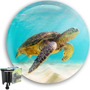 Bouchon Lavabo Universel 40mm - Tortue - Bouchon d'&Eacute;vier en Laiton chrom&eacute; avec Caoutchouc - Couvercle Lavabo &Eacute;glable en Hauteur - Anti-calcaire - Bouchon de Vidange Chrom&eacute; pour Lavabo (M. ROSENFELD Germany., neuf)