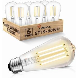 BHMAOYN 12V 24V LED E27 ST64 Ampoule,6W=60W Basse Tension Ampoules Blanc Chaud 2700K DC12-24V Rétro Antique E27 Lumières LED,Pour le Système Solaire,Camping-car marine,Lot de 6 (BHMAOYN, neuf)