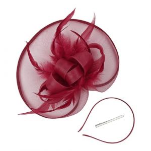 &Eacute;l&eacute;gant chapeau bibi pour femme, chapeau bibi avec voile, bandeau pour mariage, th&eacute;, cocktail, f&ecirc;te (rouge, 34 cm) (jksmyx, neuf)