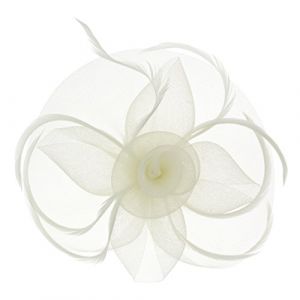 Voile Chapeau de Soirée de Mariage Barrette Fleur Coiffe Voilette Dame Fascinateur Plume Voile Chapellerie Maillé Voilette à Cheveux pour Mariage pour Mariage Party Cérémonie Accessoires pour Cheveux (YLuckyshop, neuf)