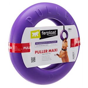 Collar Puller Ultra-R&eacute;sistant pour Chien, Violet, Taille XL pour Chien (Miller Rock, neuf)