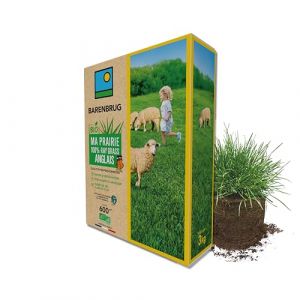 BARENBRUG - Prairie 100% Ray-grass anglais BIO - Rapide d’Installation - Polyvalente et Appétente - Très Bonne Pérennité 4 ans et + - Production Alimentation pour Animaux - Fabriqué en France - 3KG (Barenbrug, neuf)