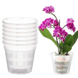 Youning Lot de 6 pots &agrave; orchid&eacute;es, transparents, respirants, en plastique, avec trous, pour orchid&eacute;es, semis, plantes succulentes, plantes en pot (11 cm) (ZDD123, neuf)