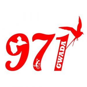Autocollant Sticker Guadeloupe 971, Stickers carte Gwada, Vinyle haute performance pour Voiture, Autocollants lezard (rouge) (tmz-creation, neuf)
