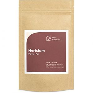 Terra Elements Hericium bio en poudre 100 g I Hydne herisson I 100% pure I vegan I qualité crue (Terra Elements, neuf)