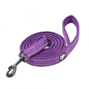 TRUE LOVE Laisse Réfléchissante pour Chien Longueur 110cm TLL2111 (Violet, M) (Truelove Pet Garment and Shoes Co.Ltd., neuf)