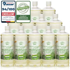 KieselGreen Bio&eacute;thanol 12 x 1 Litre avec Parfum pour Chemin&eacute;e &agrave; l'&eacute;thanol - Bio&eacute;thanol comme Parfum d'ambiance - Parfum pour Chemin&eacute;e &agrave; l'&eacute;thanol Bio int&eacute;rieur ou feu de Table au Bio&eacute;thanol (KBH Online, neuf)