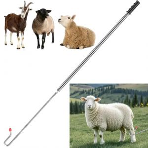 Petit mouton attrape-patte crochet, bâton de berger Crook mouton attrape-mouton crochet piège à jambe de volaille poteau, indispensable pour les fermes et les fermes d’élevage Capture de grappin (Hong Sheng Shang Mao, neuf)