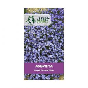 200 graines AUBRIETA royal cascade bleu - blue - fleurs rampantes - fleurs cascades - couvre sol - vivace (Planète Graines, neuf)