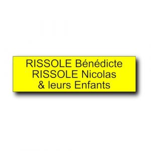 Plaque bo&icirc;te aux lettres personnalisable 12 x 3,5 cm - Gravure laser PVC - Plaque nom adh&eacute;sive - &Eacute;tiquette porte/sonnette - Plaquette signal&eacute;tique personnalis&eacute;e (Jaune) (France-gravures, neuf)